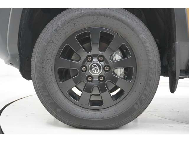 Toyota Land Cruiser 250 9