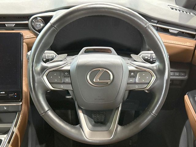 Lexus LBX 11