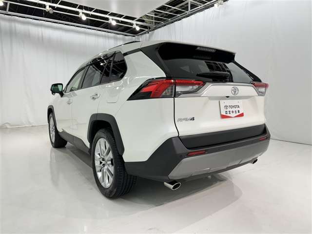 Toyota RAV4 6