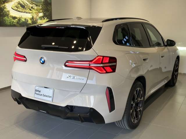 BMW X3 11