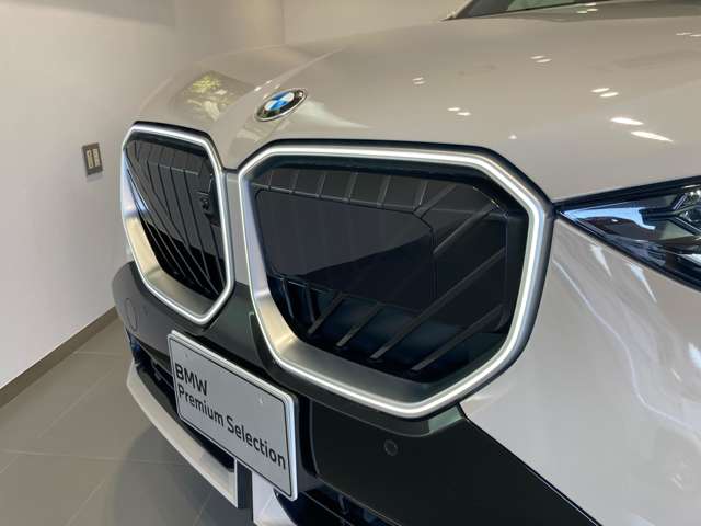 BMW X3 8