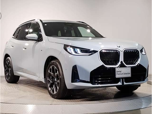 BMW X3 11