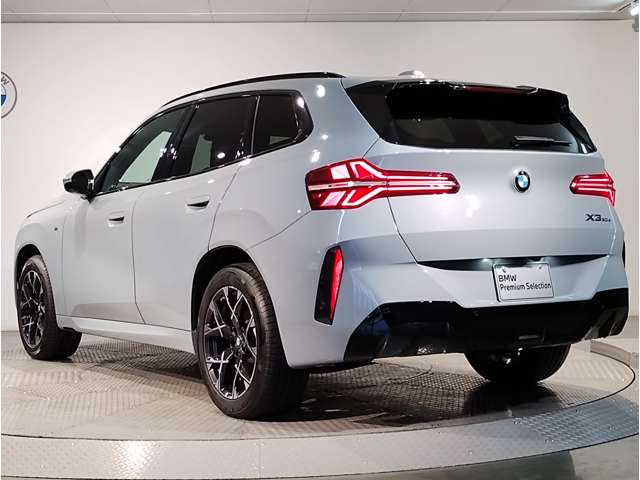 BMW X3 7
