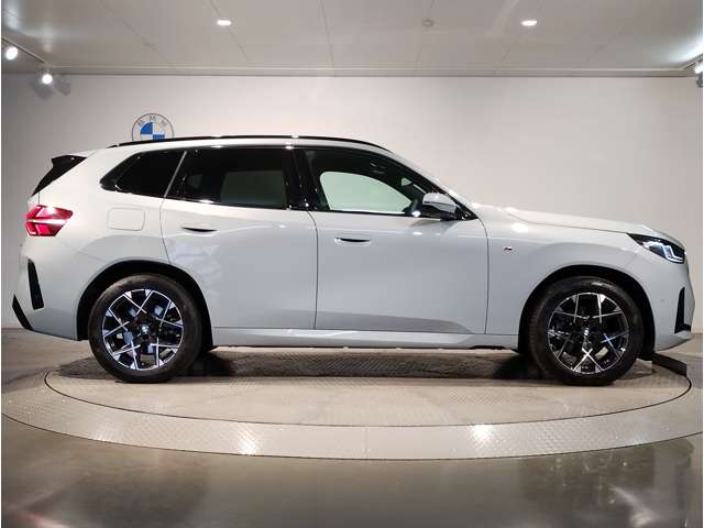 BMW X3 10
