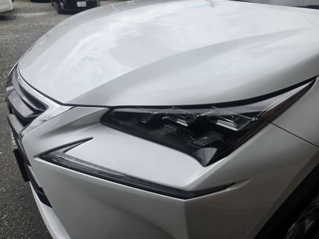 Lexus NX 11