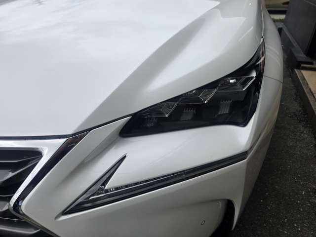 Lexus NX 12