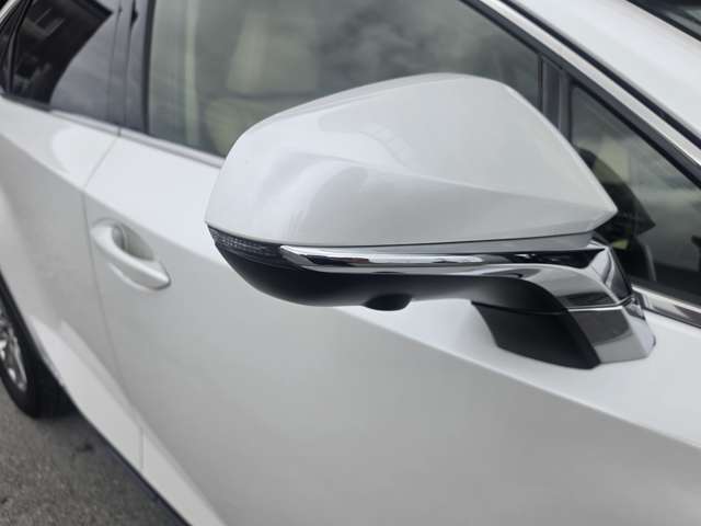 Lexus NX 5