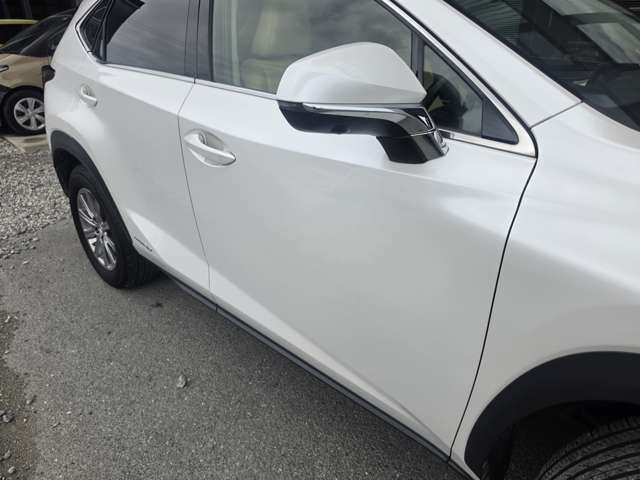 Lexus NX 6