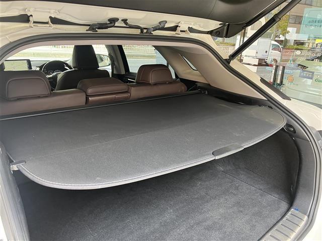 Lexus RX 11