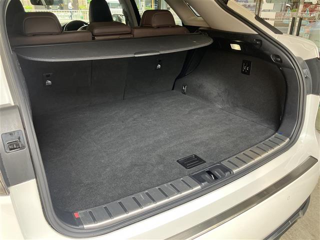 Lexus RX 10