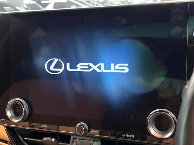 Lexus NX 4