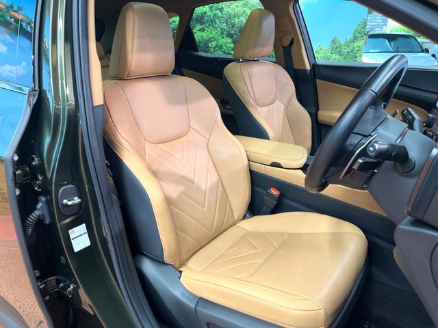 Lexus NX 10