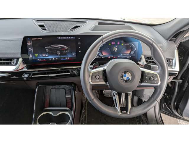 BMW X2 10