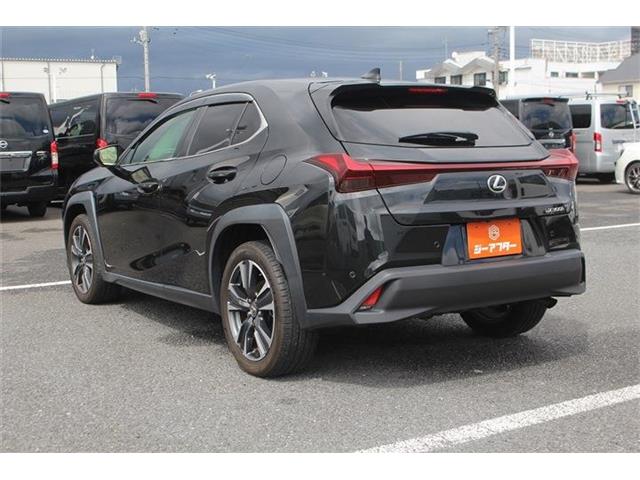 Lexus UX 11
