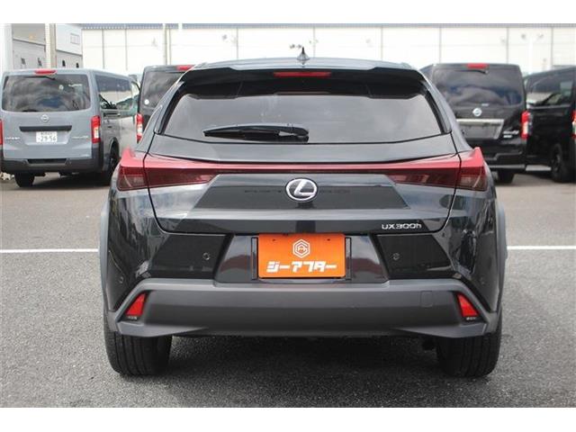 Lexus UX 12