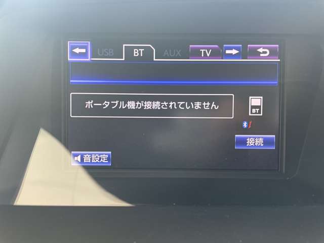 Lexus RX Hybrid 12