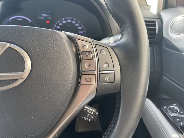 Lexus RX Hybrid 9