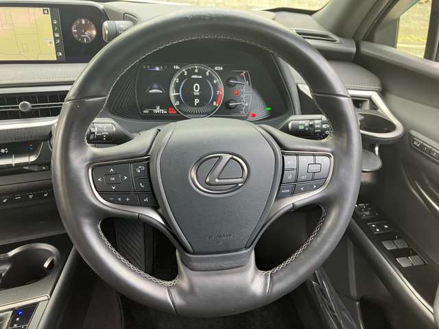 Lexus UX 12