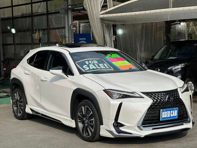 Lexus UX 6