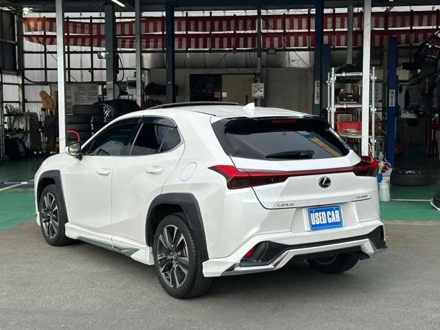 Lexus UX 9