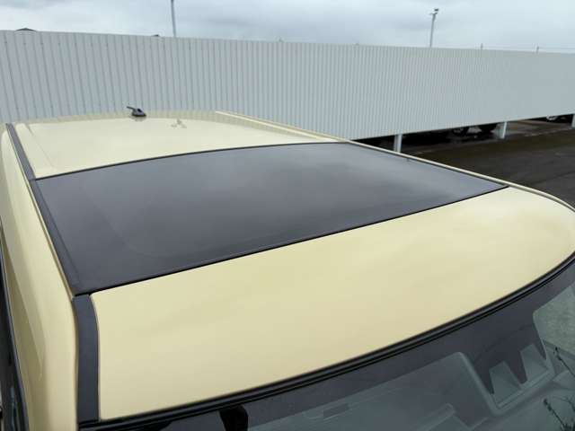 Daihatsu Taft 11