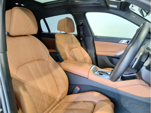 BMW X6 12