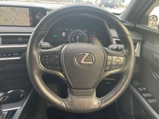Lexus UX 11