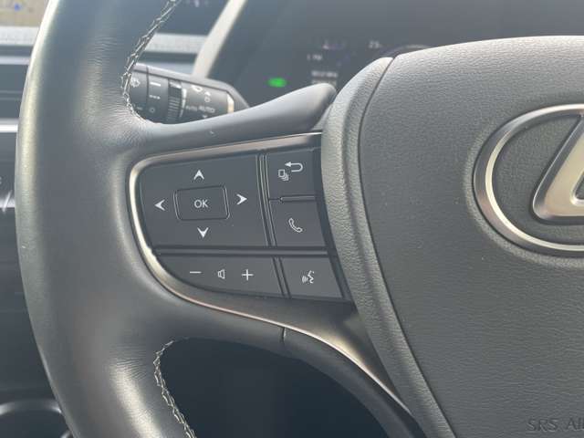 Lexus UX 12
