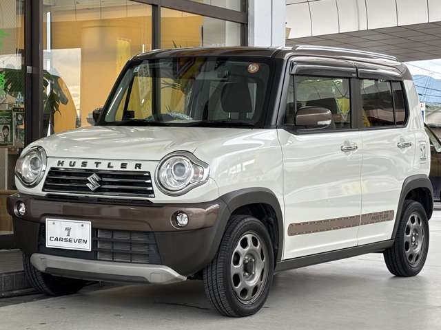 Suzuki Hustler 4