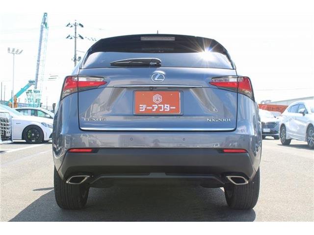 Lexus NX 12
