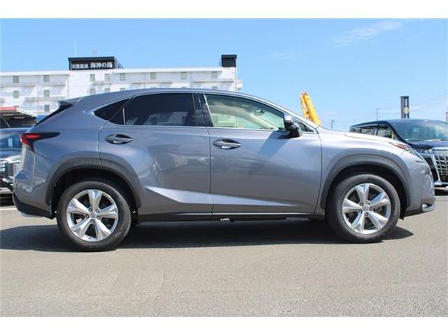 Lexus NX 10