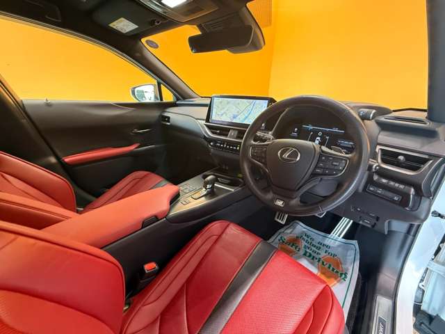Lexus UX 11