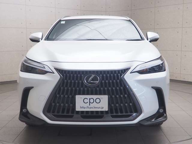 Lexus NX 2