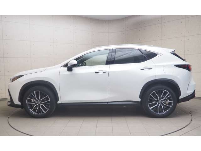 Lexus NX 3