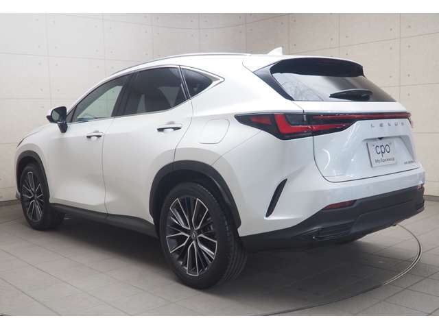 Lexus NX 4