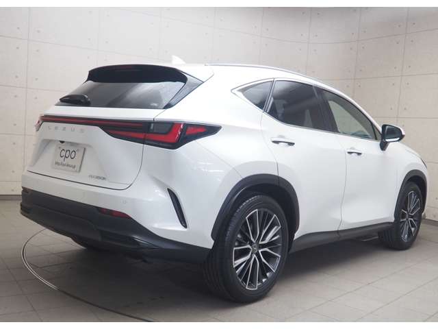 Lexus NX 6