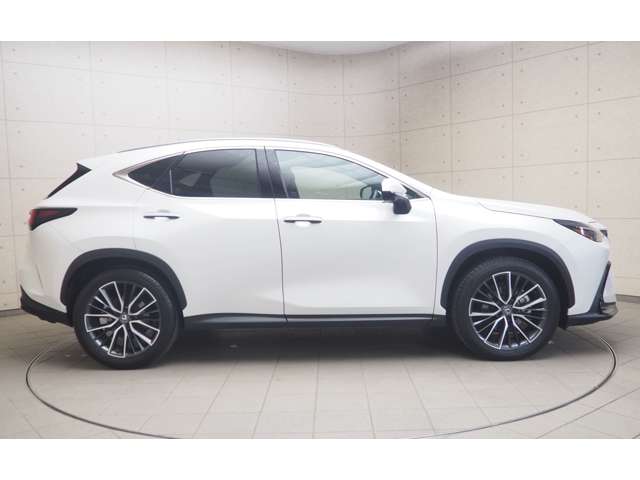 Lexus NX 7