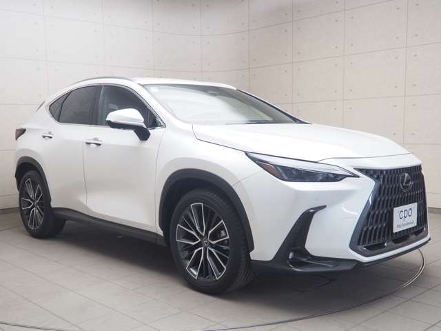 Lexus NX 8