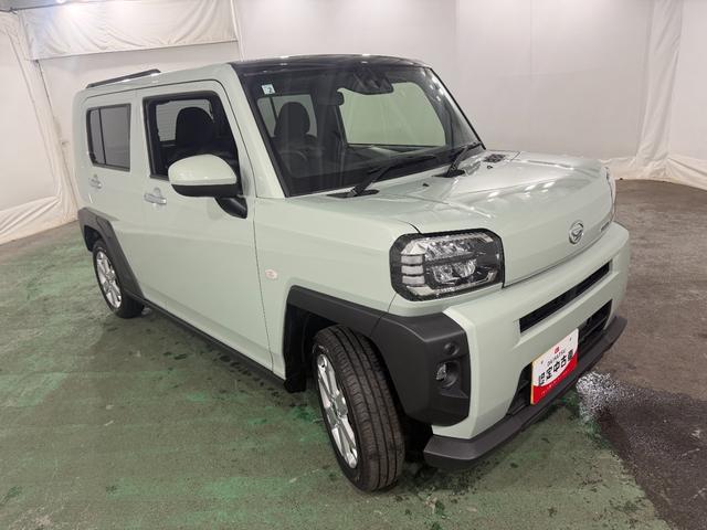 Daihatsu Taft 9