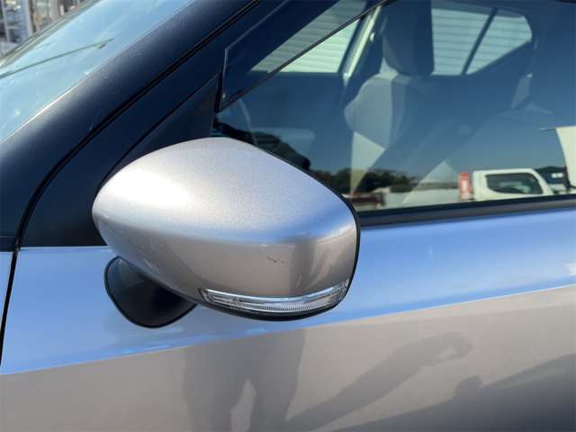 Suzuki Ignis 11