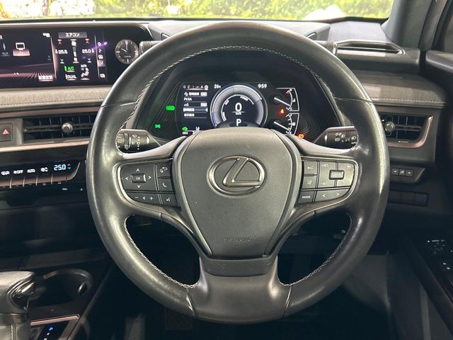 Lexus UX 11