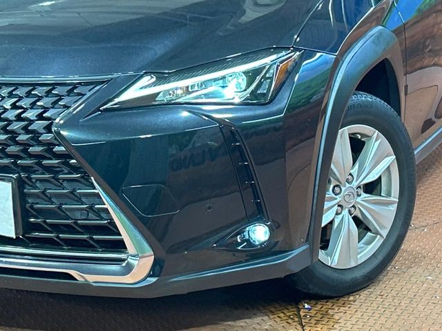 Lexus UX 12