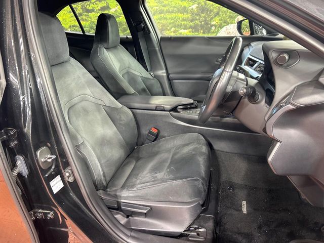 Lexus UX 8