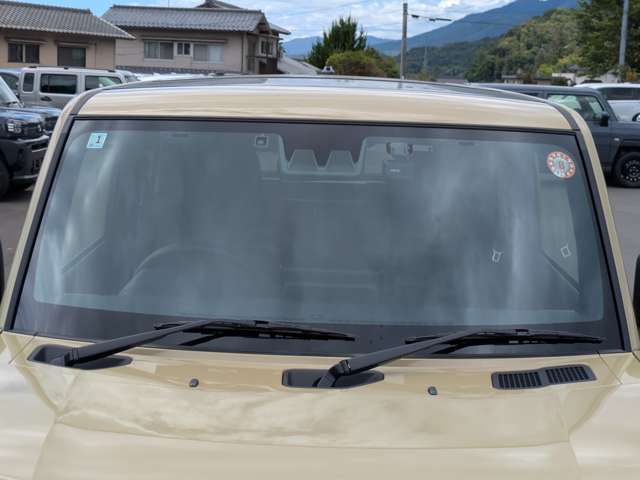 Daihatsu Taft 11