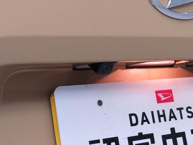 Daihatsu Taft 10