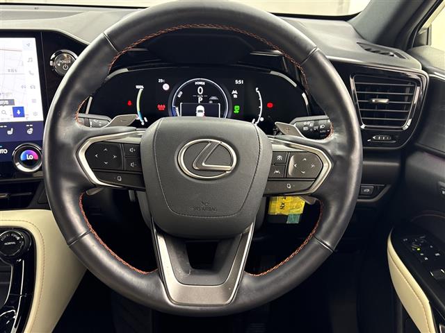 Lexus NX 11