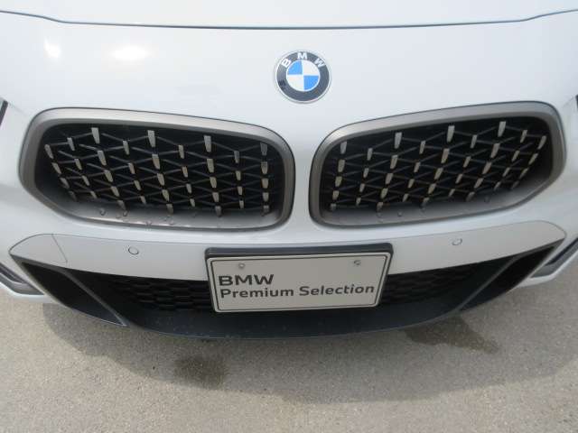 BMW X2 10