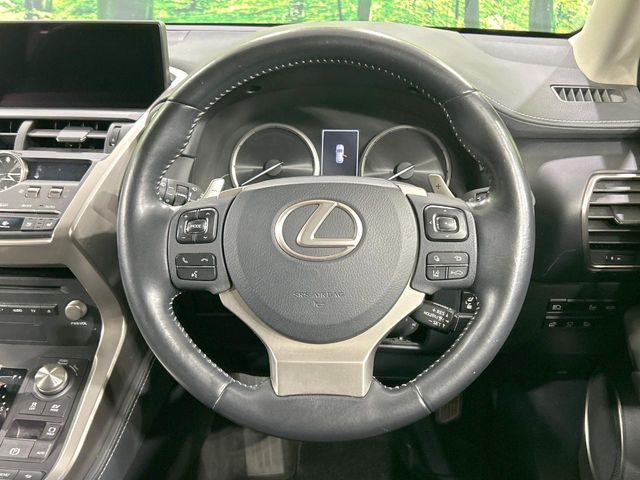 Lexus NX 12