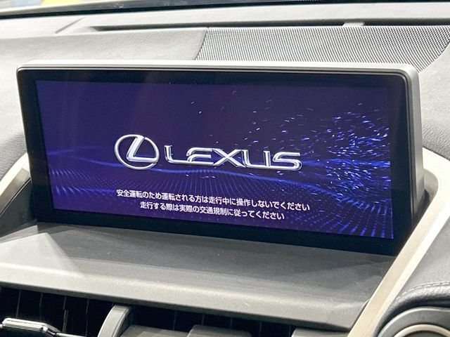 Lexus NX 4
