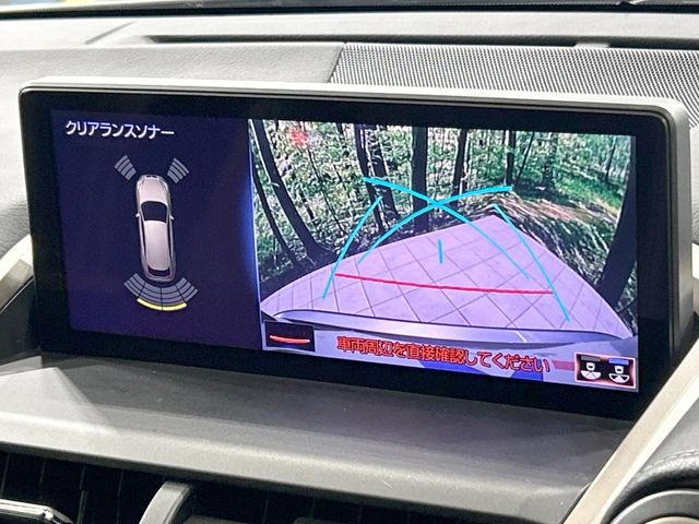 Lexus NX 5